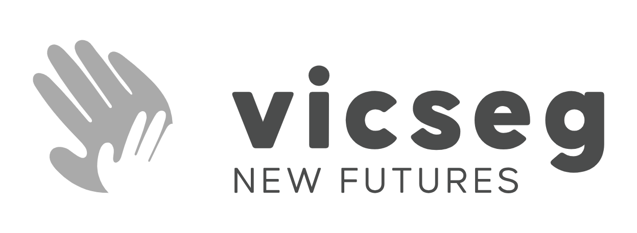 vicseg